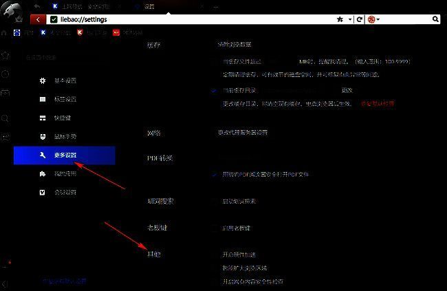 猎豹浏览器更多设置页面，右侧‘其他’栏目清晰可见，用于开启硬件加速