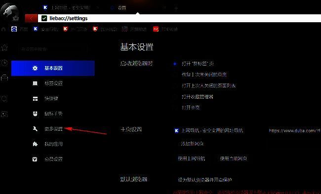 猎豹浏览器更多设置选项页面，展示各项高级功能入口