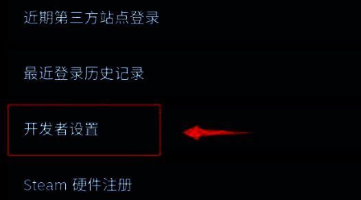 “开发者设置”页面入口清晰可见，按钮为蓝色可点击状态
