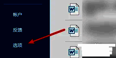 Word选项页面，左侧列表中‘选项’按钮被选中