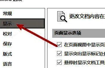 Word显示设置页面，左侧导航栏‘显示’选项被选中