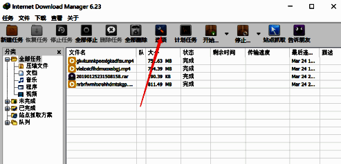 IDM软件主界面，顶部菜单栏高亮显示‘选项’按钮，鼠标指针正指向该位置
