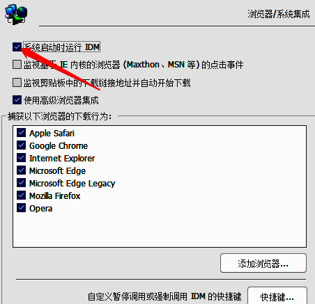 IDM常规设置页面底部，‘系统启动时运行’复选框已被勾选，旁边文字说明清晰可辨