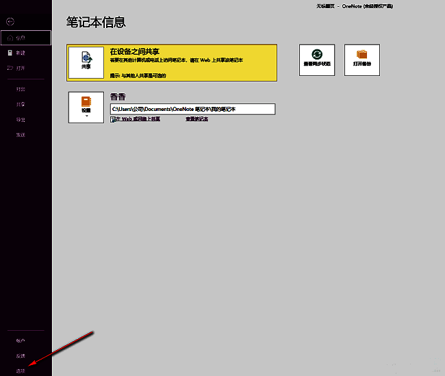 OneNote选项菜单界面，左侧列出各项设置分类，其中‘选项’被高亮显示