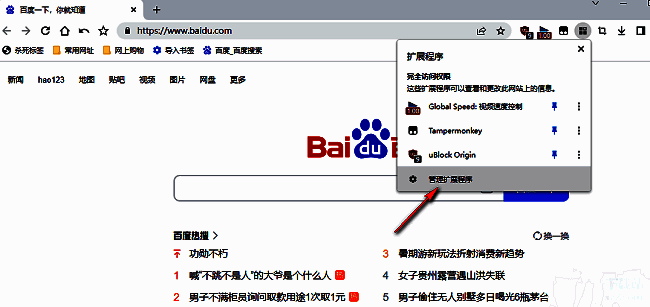 扩展程序页面底部显示管理扩展程序入口，文字清晰可辨