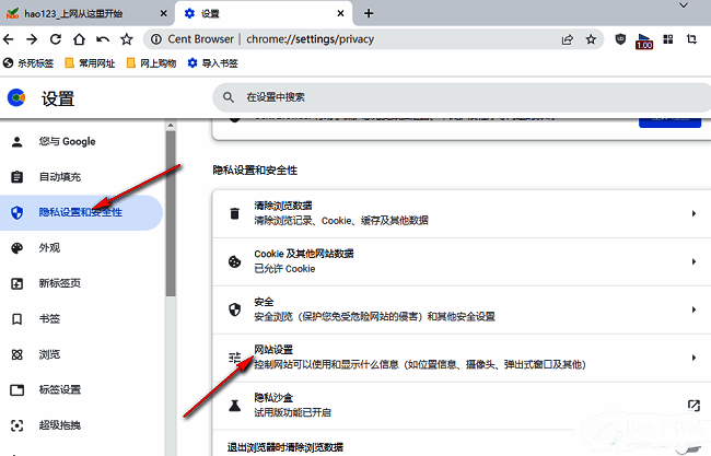 隐私设置和安全性页面，右侧列出包括网站设置在内的多个权限管理选项