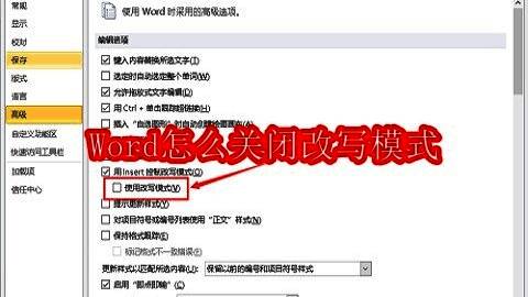 Word文档界面示意图，展示编辑区域与状态栏中的改写模式提示