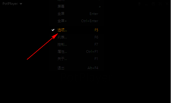 PotPlayer右键菜单界面，显示‘选项’按钮被选中，用于进入设置页面