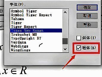Mathtype的‘样式’设置窗口，其中‘粗体’选项已被勾选，旁边为字体类型选择区域
