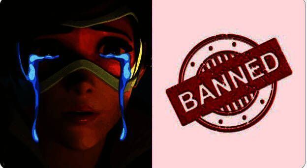 Reddit玩家晒出《守望先锋2》聊天记录截图，显示因使用noob等词汇被封号