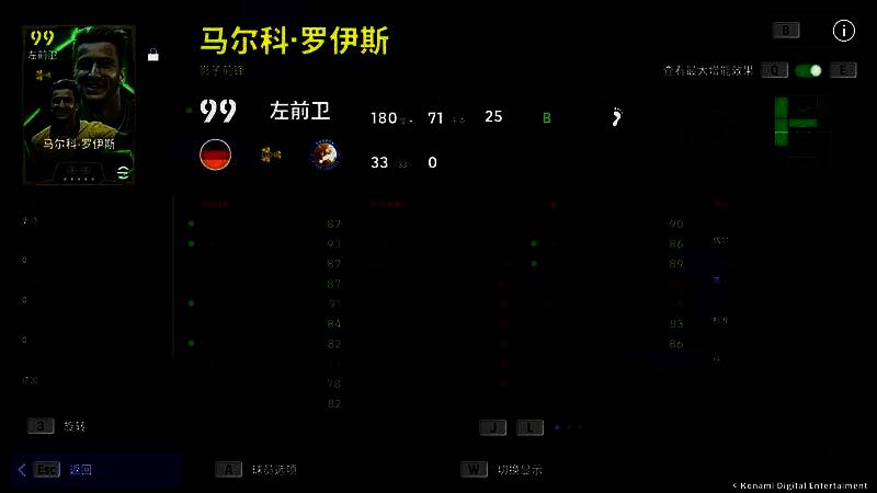 罗伊斯在决赛中庆祝进球，双手指天，身后是沸腾的威斯特法伦球场