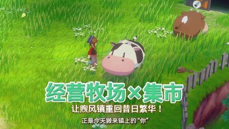 主角站在牧场高处眺望夕阳，身后是整齐的农田与围栏，几只小动物依偎在脚边，画面温馨宁静