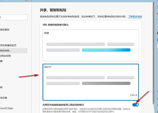 Edge浏览器设置中选择纯文本并开启自动应用开关的操作界面