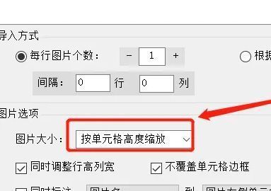 图片大小设置界面，用户选择“按单元格高度缩放”选项