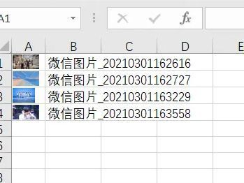 Excel表格中已成功插入多张图片，图片整齐排列，下方带有文件名标注，整体布局美观