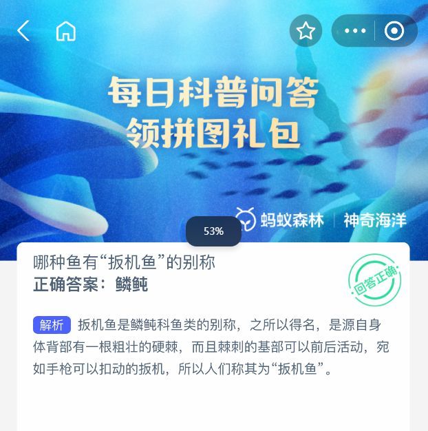 鳞鲀鱼类特写图，清晰展示其背部硬棘结构与头部特征