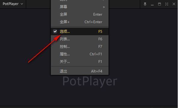 PotPlayer主界面右键菜单，显示‘选项’按钮被选中，用于进入设置页面