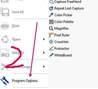 PicPick程序选项设置界面左侧栏展示Program Options入口