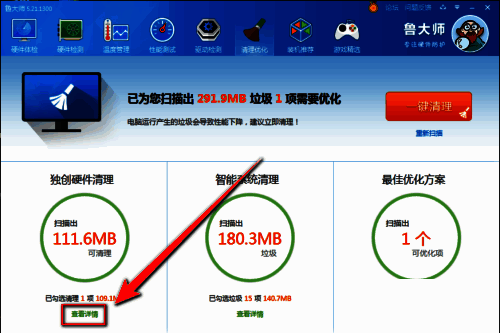 硬件清理选项展开，下方有‘查看详情’蓝色链接，提示可进一步优化物理内存
