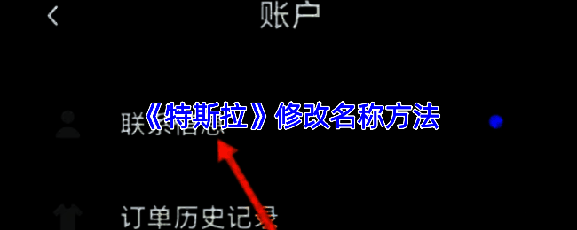 特斯拉车机系统界面展示软件设置选项，屏幕清晰显示‘车辆名称’修改入口