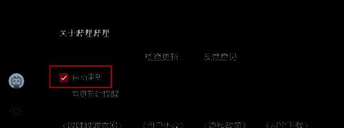 设置页面中自动更新选项已被勾选，显示为开启状态