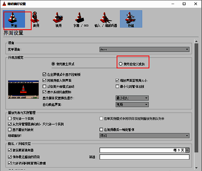 界面设置页面中，‘使用自定义皮肤’选项已被勾选，右侧显示皮肤资源路径