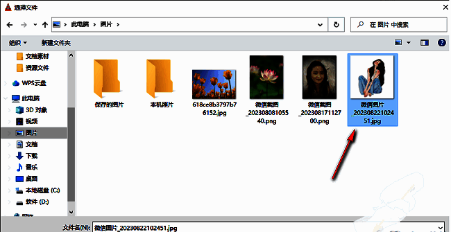 皮肤选择完成后的确认界面，文件路径已更新为用户自定义的皮肤文件