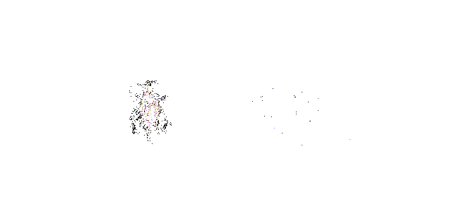 井野施展奥义，手中绽放出大片樱花风暴，敌人被卷入其中陷入混乱