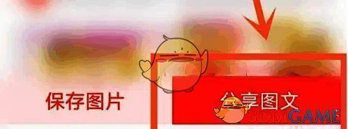 分享选项界面，展示‘分享图文’与‘复制链接’两个主要功能按钮