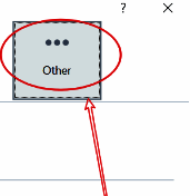 Others设置页面中Interface Language语言选择区域的截图