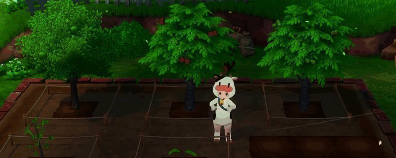 《牧场物语 来吧！风之繁华集市》中玩家正在农场种植果树的场景，画面显示一棵刚种下的小树苗，周围是翻耕过的土地和工具箱