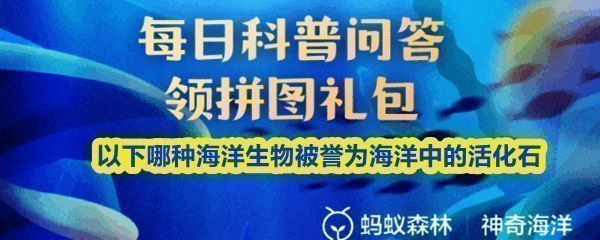 支付宝神奇海洋9月4日答题界面截图，展示今日题目及选项：鹦鹉螺与鸡心螺