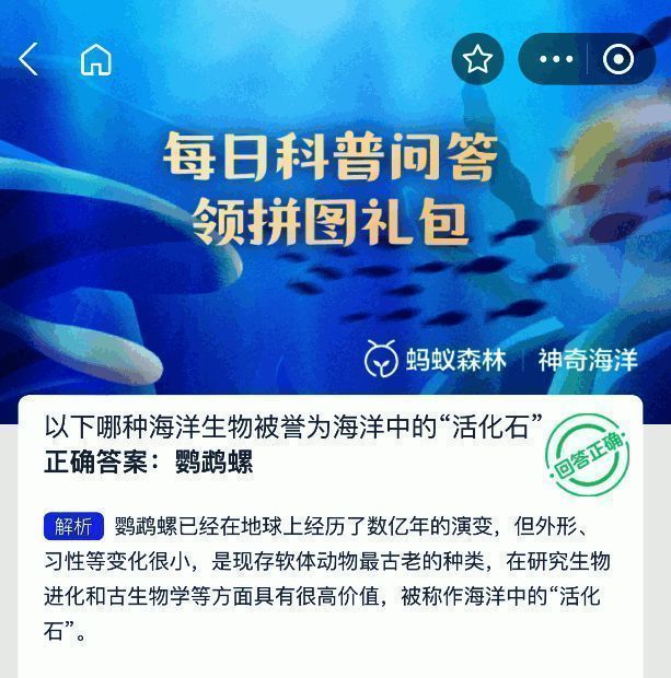鹦鹉螺内部螺旋结构解剖图，清晰展示其分隔腔室与浮力调节机制