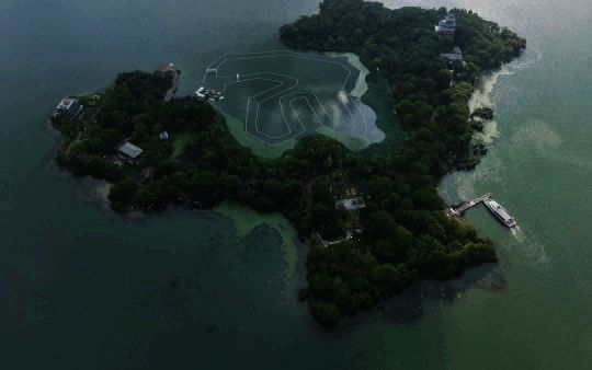 苏州桃花岛实景图，小桥流水、桃花盛开，宛如画卷中的江湖秘境