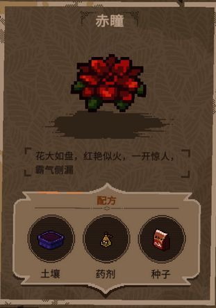 稀有植物配方图示四：螺旋叶片植物种植在石雕盆中