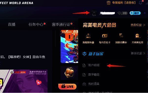 完美世界竞技平台界面截图，右上角高亮显示用户名称及下拉菜单中的账户明细选项