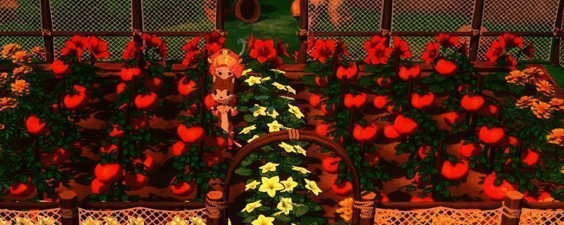 春季农田中整齐排列的芜菁、芦笋与草莓，阳光洒落，作物生机勃勃