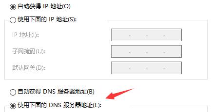 DNS服务器地址设置界面，用户勾选自定义DNS选项