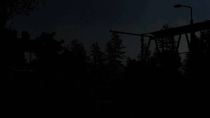 游戏中角色在昏暗森林中持枪前行，周围弥漫着浓雾，远处可见变异生物轮廓，气氛压抑