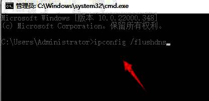 命令提示符执行ipconfig /flushdns命令以清除DNS缓存