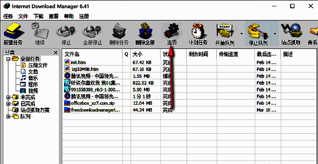 IDM主界面顶部菜单栏显示‘选项’按钮被选中，界面清晰展示软件设置入口
