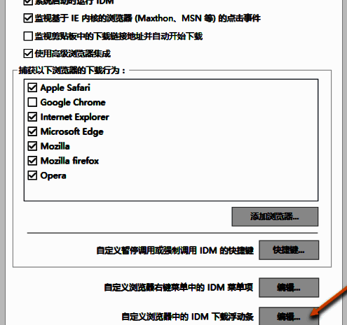 ‘自定义浏览器中的IDM下载浮动条’设置项右侧的‘编辑’按钮被鼠标指向，准备进行下一步操作