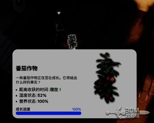 角色正在采摘成熟的番茄，作物从土地中被拔起，画面充满丰收氛围