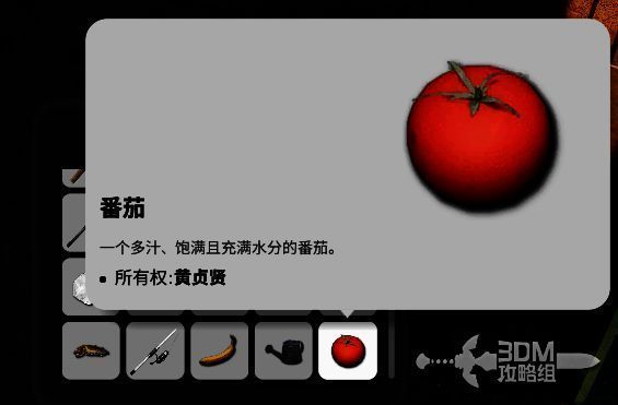 背包界面展示刚收获的农作物，包括胡萝卜、土豆和番茄，整齐排列在物品栏中