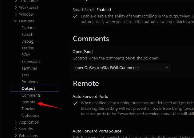 Remote选项位于左侧功能栏，点击进入远程设置界面