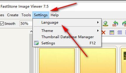 FastStone Image Viewer设置界面，顶部菜单栏显示Settings选项