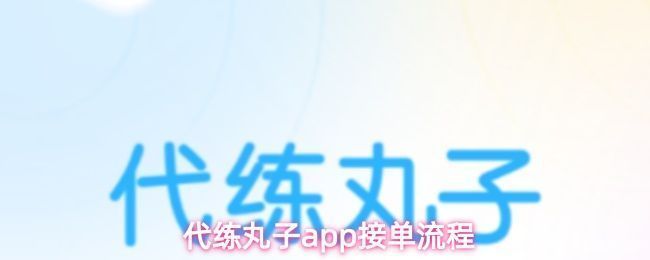 代练丸子APP首页界面展示，界面简洁明了，功能按钮清晰可见