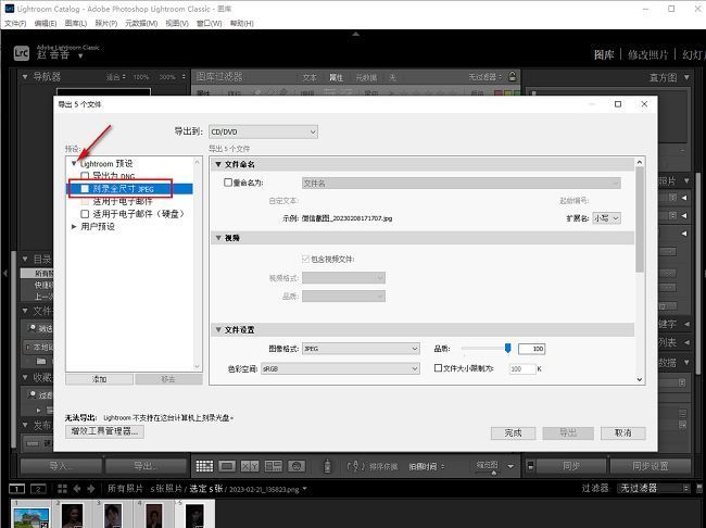 Lightroom导出窗口中的预设选项，已展开并选中刻录全尺寸