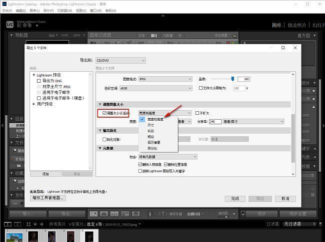 调整大小以适合选项已勾选，下拉菜单显示可选尺寸参数