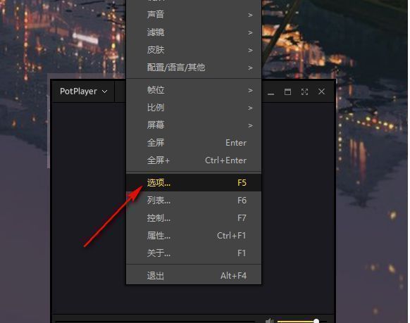 PotPlayer设置选项入口界面截图